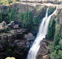 Minnamurra Rainforest Centre Budderoo National Park - Accommodation Gold Coast