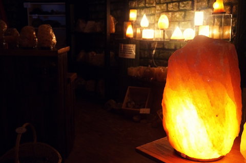 The Elephant Shop - Accommodation Gold Coast 1