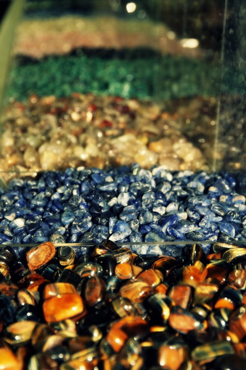 The Elephant Shop - Accommodation Gold Coast 3