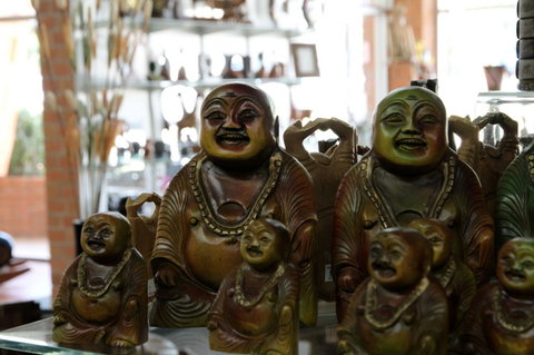 The Elephant Shop - Accommodation Gold Coast 5