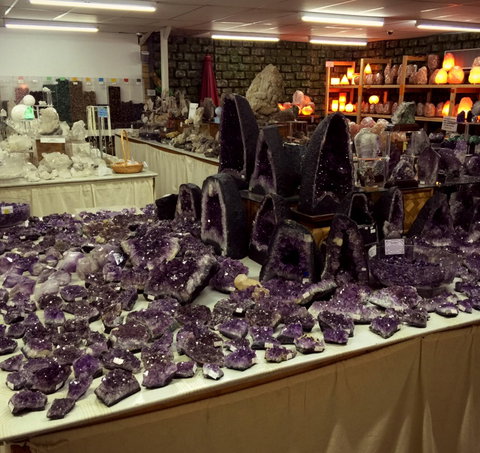 The Elephant Shop - Accommodation Gold Coast 6