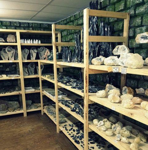 The Elephant Shop - Accommodation Gold Coast 9