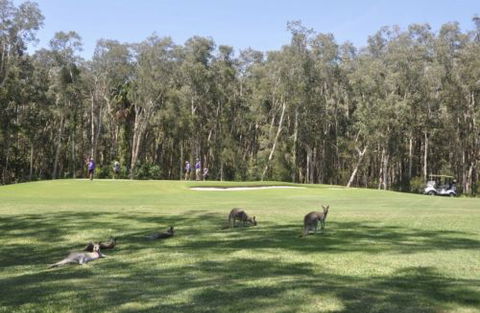 Emerald Downs Golf Course - Accommodation Gold Coast 4