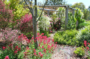 Ivy Hill Gallery - Accommodation Gold Coast 6
