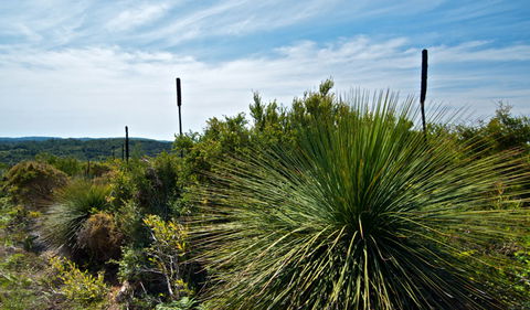 Munmorah State Conservation Area - Accommodation Gold Coast 1