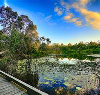 Berrinba Wetlands - Accommodation Gold Coast