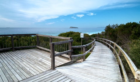 Tea Tree Picnic Area And Lookout - Accommodation Gold Coast 0