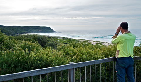Tea Tree Picnic Area And Lookout - Accommodation Gold Coast 2