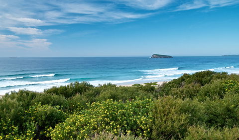 Tea Tree Picnic Area And Lookout - Accommodation Gold Coast 3