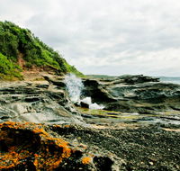 Glenrock State Conservation Area - Accommodation Gold Coast