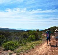 Moonee Beach trail - Accommodation Gold Coast
