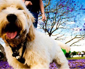 Tuckeroo Park - Accommodation Gold Coast 0