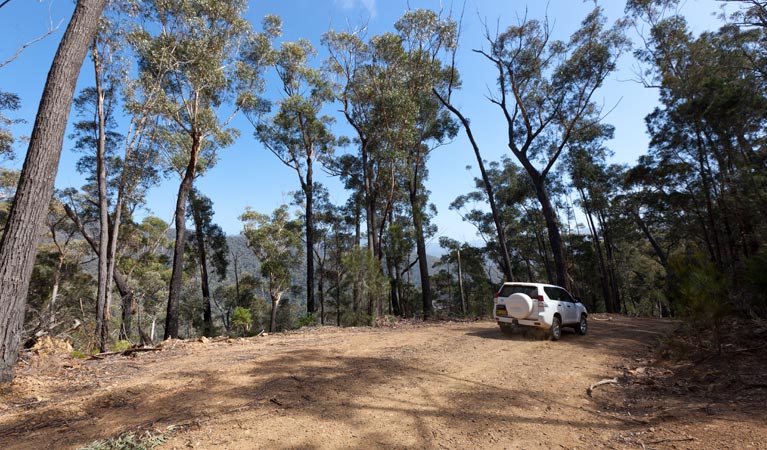 Wadbilliga NSW Gold Coast 4U