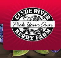 Clyde River Berry Farm - Accommodation Gold Coast