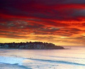 Aquabumps - Accommodation Gold Coast 8