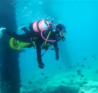 Shellharbour Scuba  Photography Centre - Accommodation Gold Coast