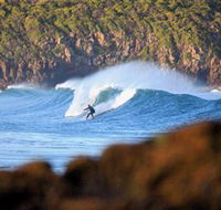 Killalea Beach - Accommodation Gold Coast