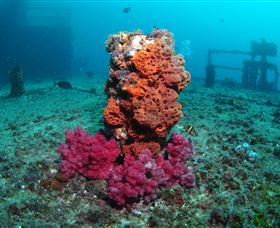 HMAS Brisbane Dive Site - Accommodation Gold Coast 0