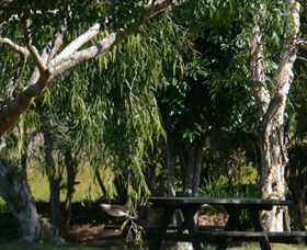 Casino NSW Accommodation Gold Coast