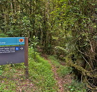 Red Cedar loop - Accommodation Gold Coast