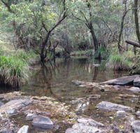 Homeleigh - Accommodation Gold Coast