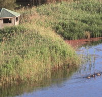 Spring Creek Bird Hide - 1 Gold Coast