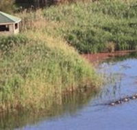 Spring Creek Wetlands Walk - 1 Gold Coast