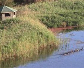 Spring Creek Wetlands Walk - Gold Coast 4U 0