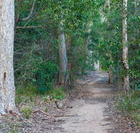 Delta track