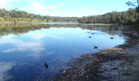 Conjola National Park - Gold Coast 4U 1