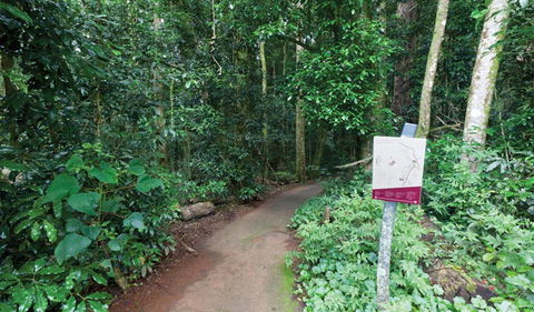 Walk With The Birds Boardwalk - Accommodation Gold Coast 0