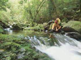 Dave's Creek Circuit - Accommodation Gold Coast 0