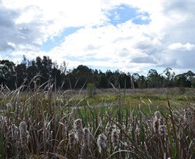 Jabiru Geenbeebeinga Wetlands - Accommodation Gold Coast 1