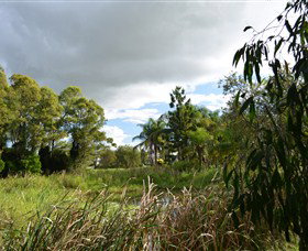 Jabiru Geenbeebeinga Wetlands - Accommodation Gold Coast 2