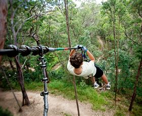 TreeTop Challenge - Accommodation Gold Coast 0