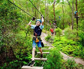 TreeTop Challenge - Accommodation Gold Coast 1