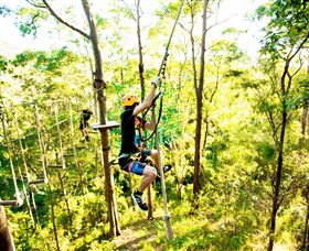 TreeTop Challenge - Accommodation Gold Coast 3