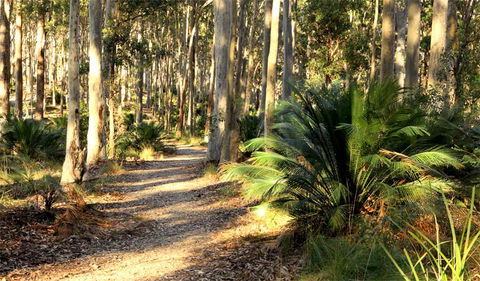 Square Head Track 2 - Gold Coast 4U 0