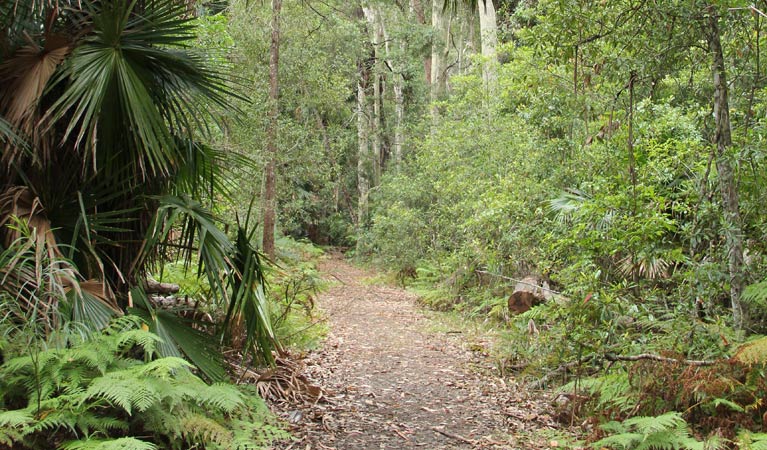 East Lynne NSW Gold Coast 4U