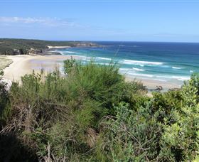 South Pacific Heathland Reserve - Accommodation Gold Coast 0