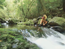 Lower Ballanjui Falls - Accommodation Gold Coast 0