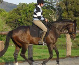 Kings Creek Saddle Club - 1 Gold Coast 6