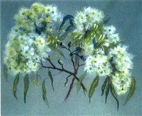 Norma Holt Studio Gallery - Gold Coast 4U 1