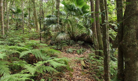 Durras Lake Discovery Trail - Gold Coast 4U 0