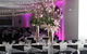Cookabarra Restaurant And Function Centre - Tailor Made Fish Farms - thumb 5
