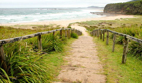 Pretty Beach To Durras Mountain Walking Track - Gold Coast 4U 0