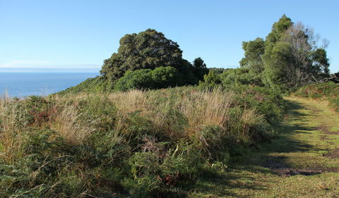 Pretty Beach To Durras Mountain Walking Track - Gold Coast 4U 2