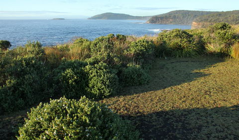 Pretty Beach To Durras Mountain Walking Track - Gold Coast 4U 3