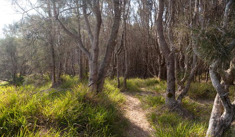 Murramarang Aboriginal Area Walking Track - Gold Coast 4U 1