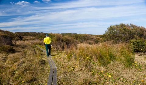Murramarang Aboriginal Area Walking Track - Gold Coast 4U 3